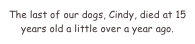 The last of our dogs, Cindy, died at 15 years old a little over a year ago.